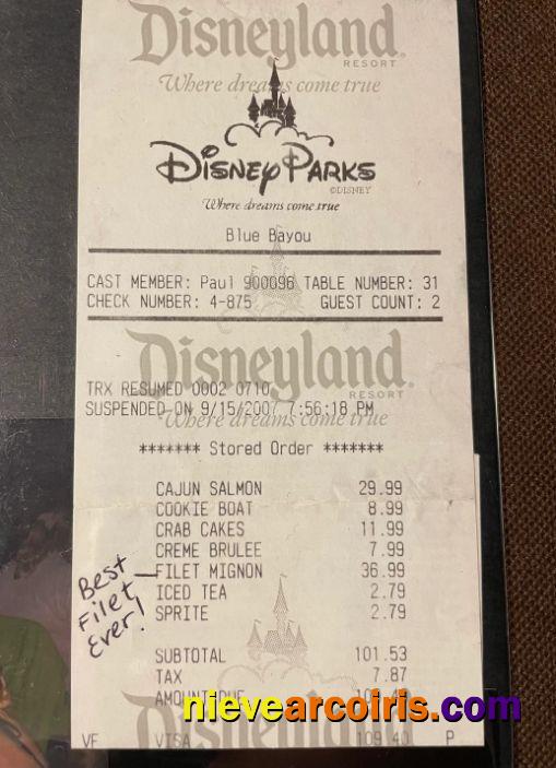 Disneyland park payment check